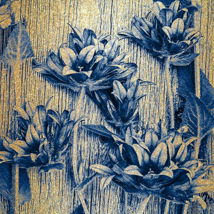 Picture of INDIGO GOLD 2