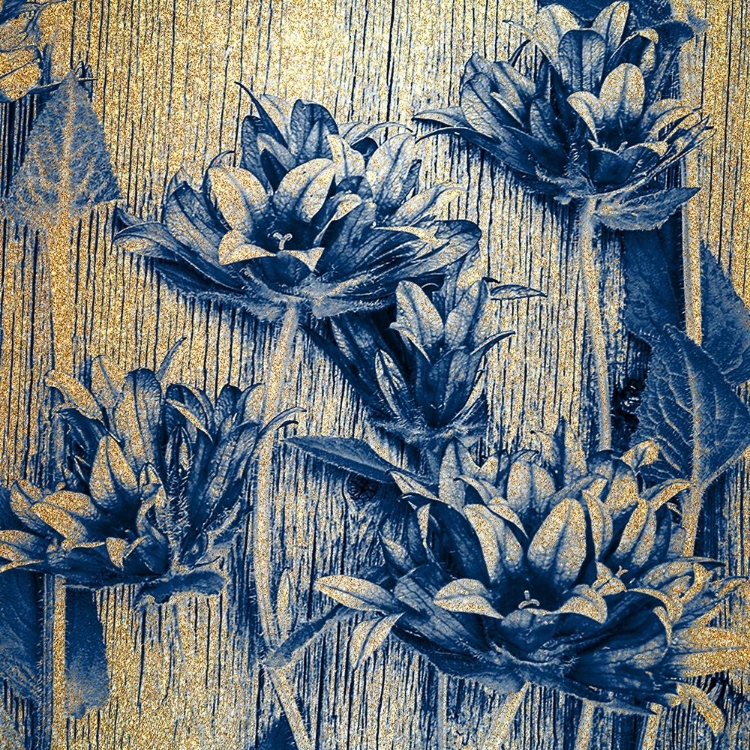 Picture of INDIGO GOLD 2