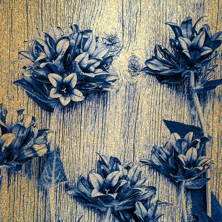 Picture of INDIGO GOLD 3