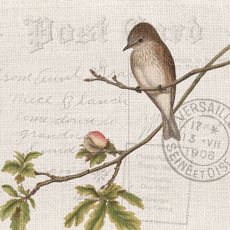Picture of SUMMER SONG 1