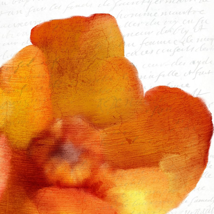 Picture of BOLD BLOOM 1