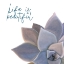 Picture of LIFE IS BEAUTIFUL