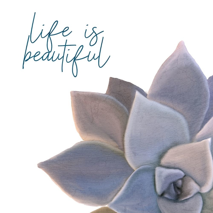 Picture of LIFE IS BEAUTIFUL
