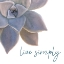 Picture of LIVE SIMPLY