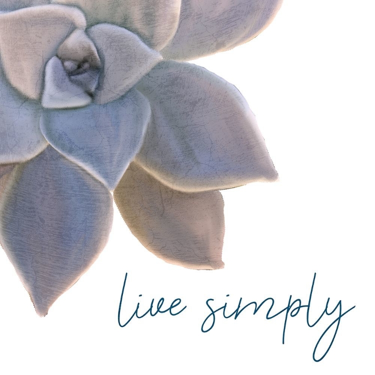Picture of LIVE SIMPLY