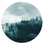 Picture of IN THE FOREST 1