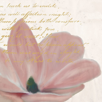 Picture of MAGNOLIA 1