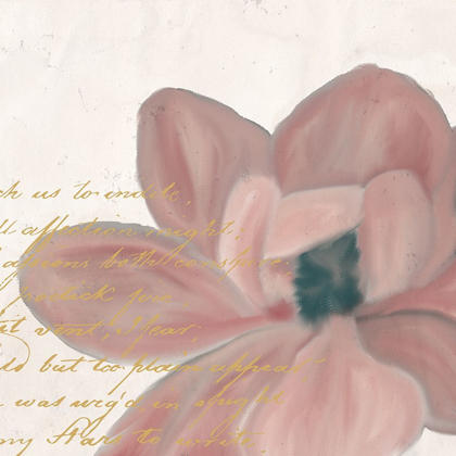 Picture of MAGNOLIA 2