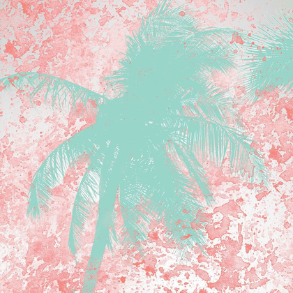 Picture of PALM TREE 1