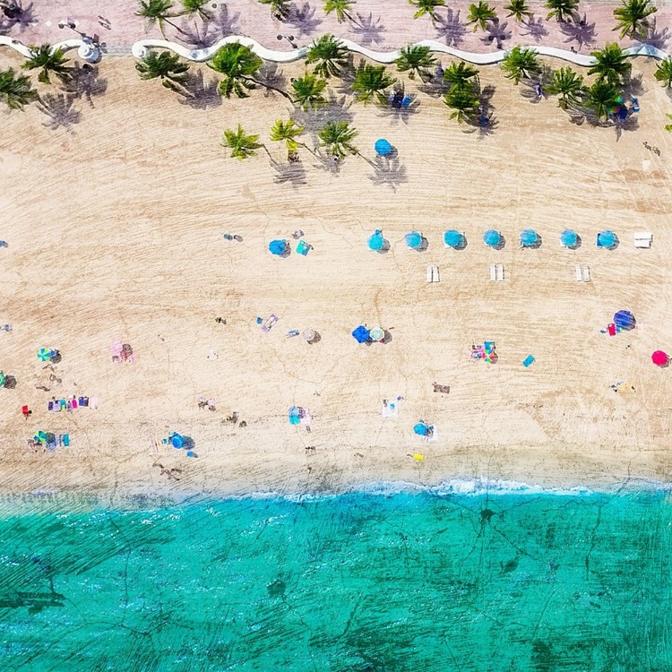 Picture of FT LAUDERDALE BEACH 1