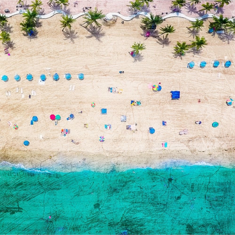 Picture of FT LAUDERDALE BEACH 2