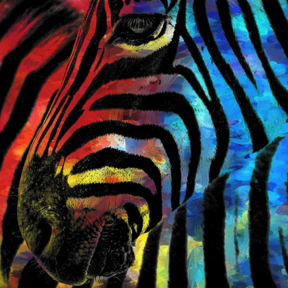 Picture of ZEBRA 1