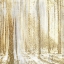 Picture of FOREST OF GOLD 2