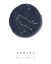 Picture of GEMINI