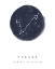 Picture of PISCES