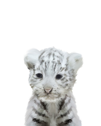 Picture of WHITE TIGER