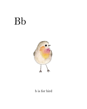 Picture of BB IS FOR BIRD