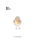 Picture of BB IS FOR BIRD