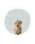 Picture of BABY LION CIRCLE