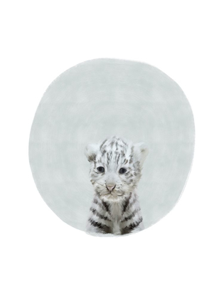 Picture of BABY WHITE TIGER