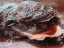 Picture of SHINY OYSTER 2