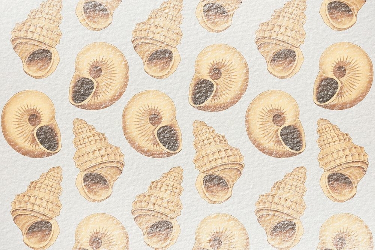 Picture of FLOWING SHELLS 2