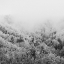 Picture of WINTER STORM 1