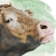 Picture of AGNES IN LOVE