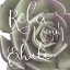 Picture of EXHALING SUCCULENT 1