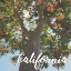 Picture of CALIFORNIA ORANGE 1