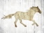Picture of ICON HORSE