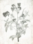 Picture of SOFT FLOWERS ON WOOD