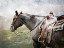 Picture of TAKE A RIDE