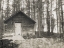 Picture of CABIN IN THE WOODS