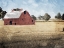 Picture of FARMHOUSE ON THE HAY