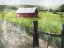 Picture of LOOK TO THE FARM