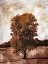 Picture of LONELY FALL TREE