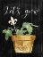 Picture of LETS GROW