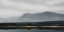 Picture of SEE THROUGH THE FOG