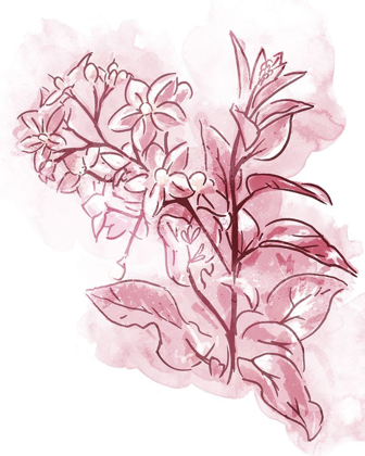 Picture of WATER INKED FLORALS BLUSH