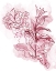 Picture of WATER INKED FLORALS BLUSH