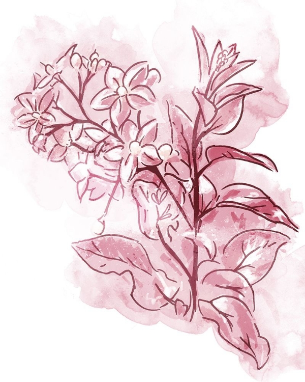 Picture of WATER INKED FLORALS BLUSH