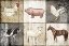 Picture of FARM ANIMALS PM