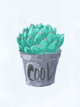 Picture of COOL POT