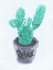 Picture of RELAX POT