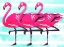 Picture of THREE FLAMINGO