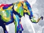 Picture of COLORPHANT