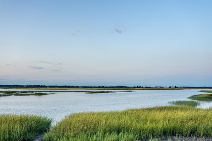 Picture of SUMMER MARSH