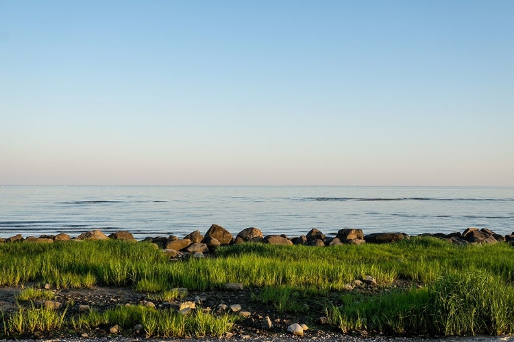 Picture of ROCKY SHORE