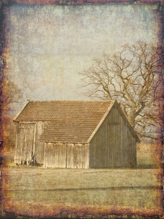 Picture of OLD FARM VIEW